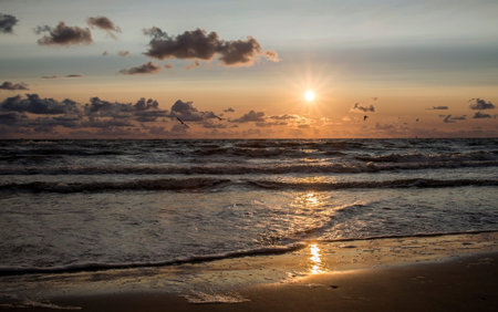 Beautiful sunset with seagulls over the Baltic Sea. Water area of the port of Klaipeda, Lithuania.