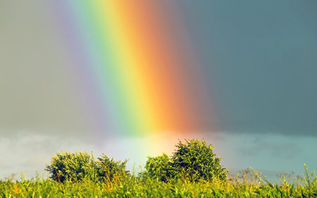 Very bright rainbow over the fields. Agricultural landscape in eastern Lithuania.の写真素材