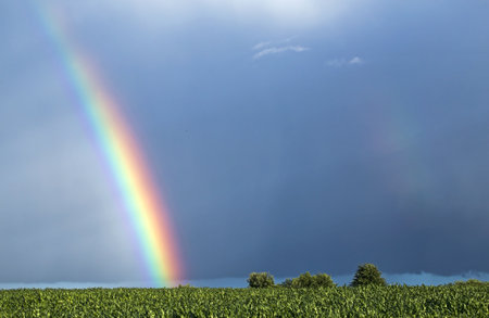 Very bright rainbow over the fields. Agricultural landscape in eastern Lithuania.の写真素材