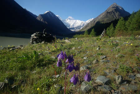 Mountain landscape. Highlands, the mountain peaks, gorges and valleys. The stones on the slopes.の写真素材