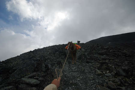 Mountain landscape. Highlands, the mountain peaks, gorges and valleys. The stones on the slopes.の写真素材