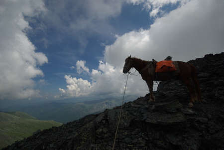 Mountain landscape. Highlands, the mountain peaks, gorges and valleys. The stones on the slopes.の写真素材