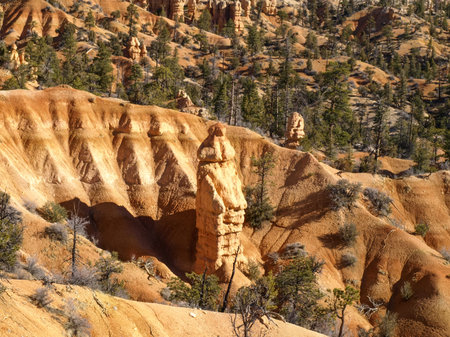 The Bryce Canyon National Park, Utah, United States