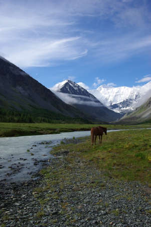 Mountain landscape. Highlands, the mountain peaks, gorges and valleys. The stones on the slopes.の写真素材