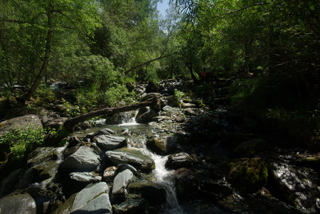 The mountain river in the mountains. Current through the gorge the river. Stones and rocky land near...