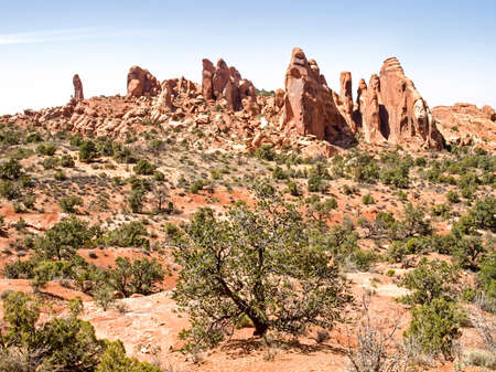 Nature National Park, Utah. The landscape and rocks. Roads and propinki Park, Utah.の写真素材