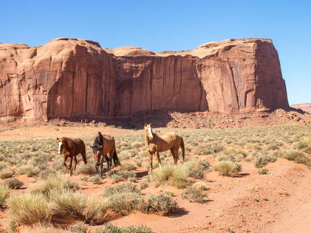 Landscape of the ancient rocks. Monument Valley, Arizonaの写真素材