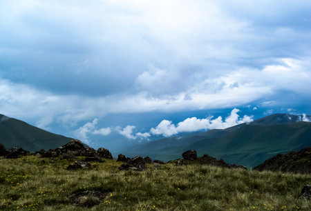 Mountain landscape with grass in the hills. Mountain landscape. Mountain vegetation.