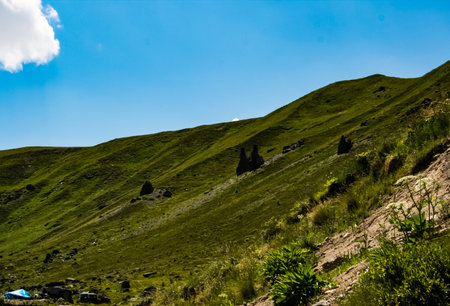 Mountain landscape with grass in the hills. Mountain landscape. Mountain vegetation.