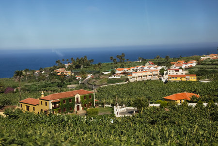 Costa Adeje, Tenerife, Spain - July 28, 2013: The islands of Tenerife is a resort for tourists. Coast of the sea and hotels on the beach.のeditorial素材