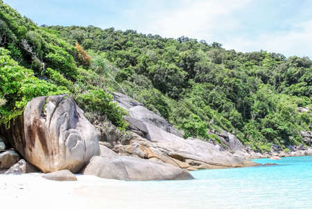 Forests on the hills of the island of Phuket in Thailand. The nature of Thailand.の写真素材