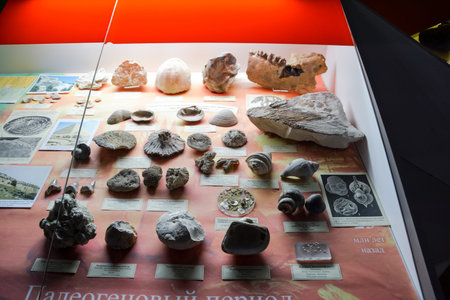 Geological Museum named after Vernadsky, Moscow, Russia - June 11, 2018: Exhibits of the Museum...