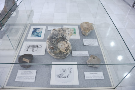 Geological Museum named after Vernadsky, Moscow, Russia - June 11, 2018: Exhibits of the Museum...
