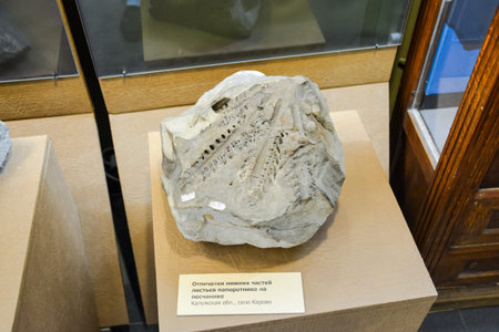 Geological Museum named after Vernadsky, Moscow, Russia - June 11, 2018: Exhibits of the Museum...