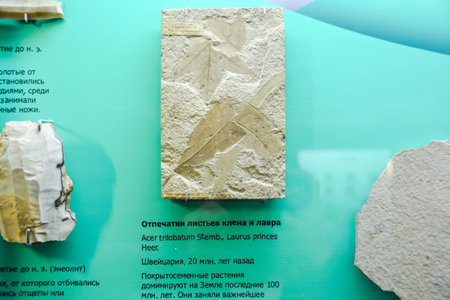Geological Museum named after Vernadsky, Moscow, Russia - June 11, 2018: Exhibits of the Museum...