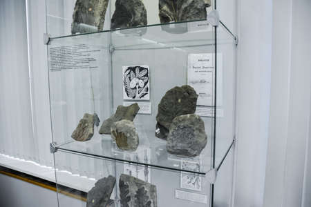 Geological Museum named after Vernadsky, Moscow, Russia - June 11, 2018: Exhibits of the Museum named after Vernadsky in Moscow, Fossil remains of ancient animals and plants.のeditorial素材