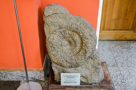 Geological Museum named after Vernadsky, Moscow, Russia - June 11, 2018: Exhibits of the Museum...