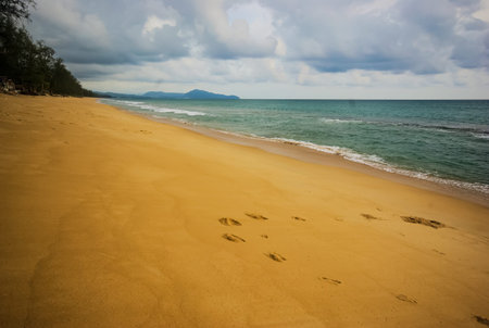 The shores of Thailand, cliffs with forests and bays of the sea.