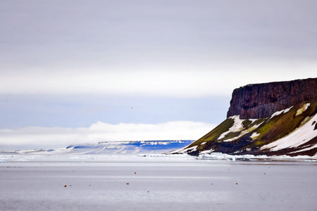 Arctic landscape, arctic tundra and ice of the Arctic Ocean.