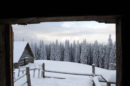 Beautiful winter landscape with fog in the Carpathian mountains, Ukraineのeditorial素材
