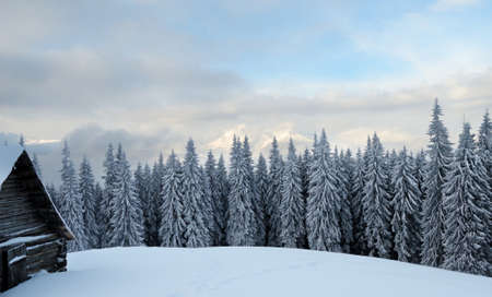 Beautiful winter landscape with fog in the Carpathian mountains, Ukraineのeditorial素材
