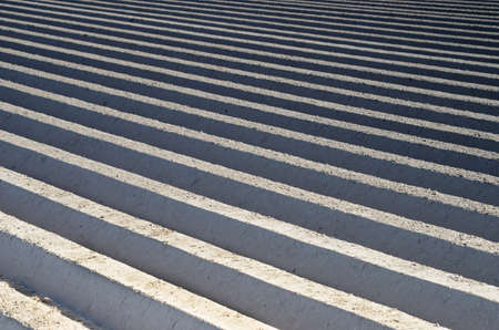 Abstract patterns with lines on the field on the black-and-whiteの写真素材