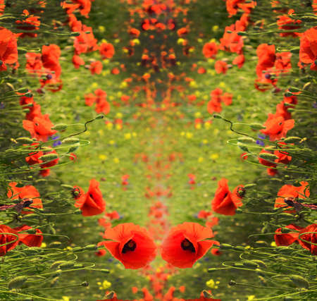 Abstract background for greetings in the form of heart with poppies (Valentine's Day, February 14, love - concept)の写真素材