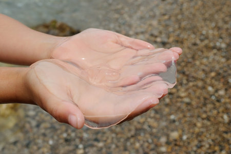 Jellyfish on the palms on sand background