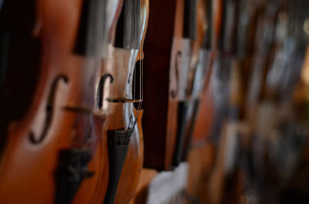 Violins with strings close upの写真素材