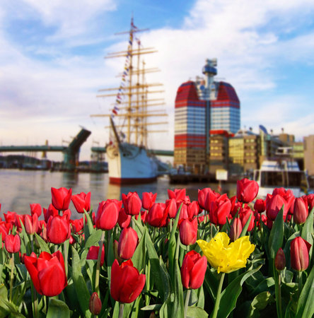 Beautiful landscape with flowers on the background of the ship on the quay Gothenburg, Swedenの写真素材
