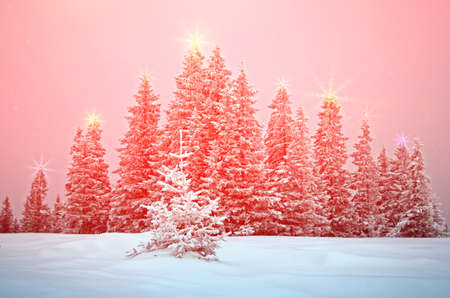 Mystical winter landscape with trees at Christmas lights shine (New Year, travel, Harmony - concept)の写真素材