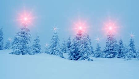 Mystical winter landscape with trees at Christmas lights shine (New Year, travel, Harmony - concept)の写真素材