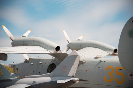 The plane against the sky