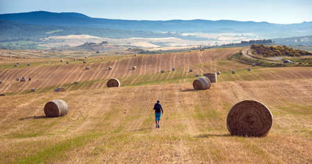The man goes between the haystack in the field. Tuscany, Italy (crop, welfare - concept)の写真素材