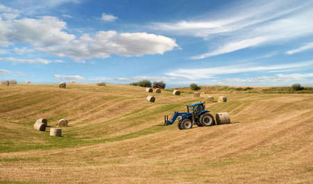The tractor harvests in the field. Tuscany, Italy (crop, welfare - concept)の写真素材