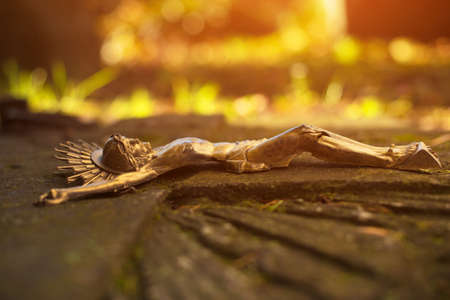 The crucifixion of Jesus Christ on a stone grave as a symbol of suffering and salvation of mankind after death in the kingdom of eternity. Place for the inscription.の写真素材