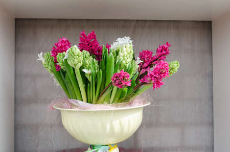 Beautiful scenery with flowers in the pots in a niche on the wall in the roomの写真素材