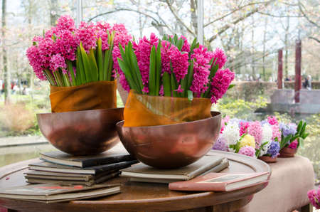 charming interiors in the room with flower potsの写真素材