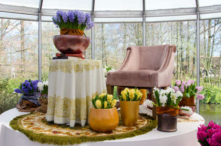 charming interiors in the room with flower potsの写真素材