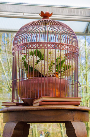 A charming interior in a room with flower pots in a cage for birdsの写真素材