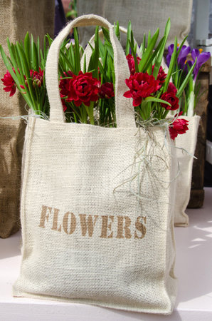 Original package and gift: flowers in the bagの写真素材