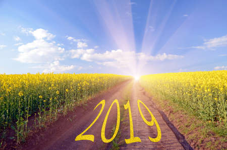 Beautiful Christmas Banner, Wallpaper for your desktop, Christmas Card, Happy New Year, 2019, the road to better brighter future (concept)の写真素材