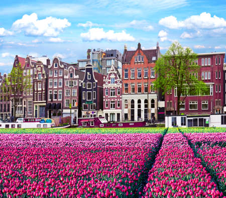 The associative landscape of the Dutch atmosphere in Amsterdam.の写真素材