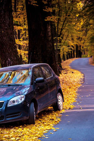 Amazing autumn landscape with car and yellow leaves along road in cosy forestの写真素材