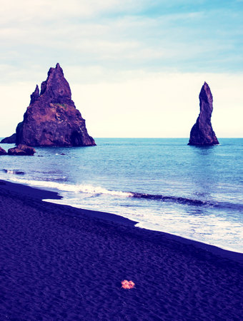 Magical majestic dramatic landscape with Reynisdrangar Sea Cliffs, stones called Troll Fingers and dry orange algae on the beach under the Reynisfjall Mountain near Vik, Iceland. Exotic countries.の写真素材