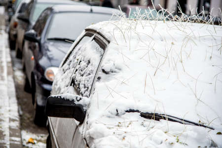 The car is covered with snow and a mysterious hairstyle from the hairdresser's nature from the roots of fallen leavesの写真素材