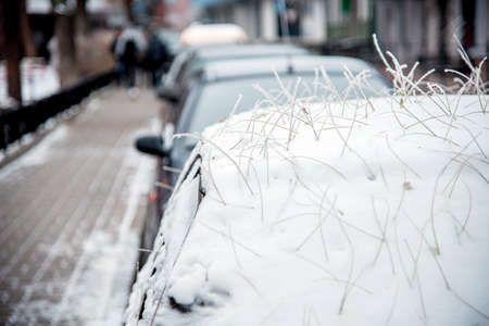 The car is covered with snow and a mysterious hairstyle from the hairdresser's nature from the roots of fallen leavesの写真素材