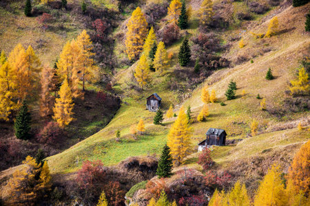 Magical mystic autumn landscape in the Dolomites, South Tyrol, Alps, Italy. (Meditation, rest, calm, anti-stress, relaxation - concept)の写真素材