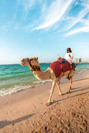 Dubai, United Arab Emirates â February 8, 2021: Cute camel on the famous Jumeirah Beach in Dubai, United Arab Emirates.のeditorial素材