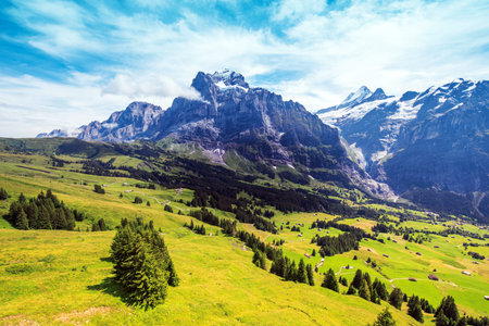Magical  landscape from a height on Grindelwald valley in Swiss Alps near Eiger, Switzerland, Europe.の写真素材
